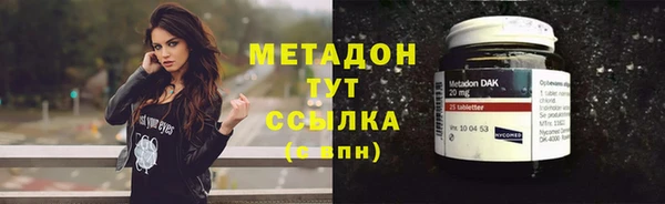 PSILOCYBIN Корсаков