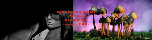 альфа пвп Красноперекопск