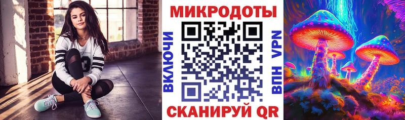 Купить закладки  Порхов  Псилоцибиновые грибы MAGIC MUSHROOMS 